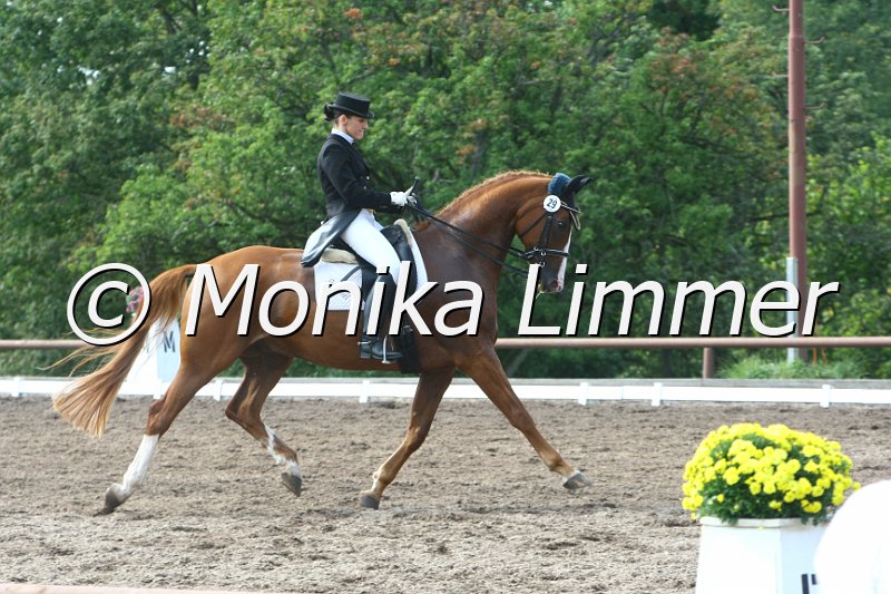 109M4522_Da Caprio_Dressur Sxx.JPG